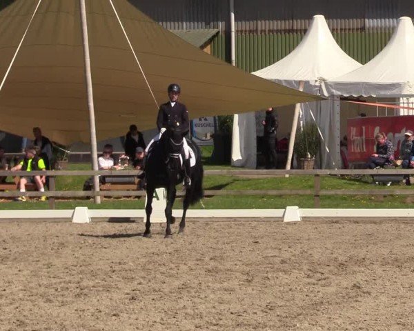 Reitturnier Kleinsolter Turniertage 2025