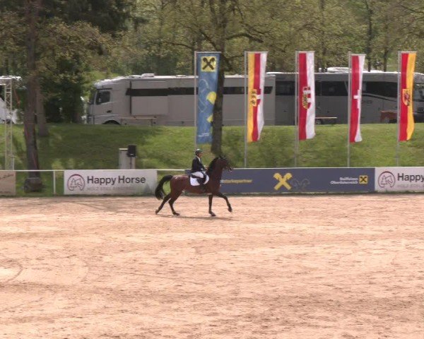 Internationales Springturnier Stadl-Paura 2025