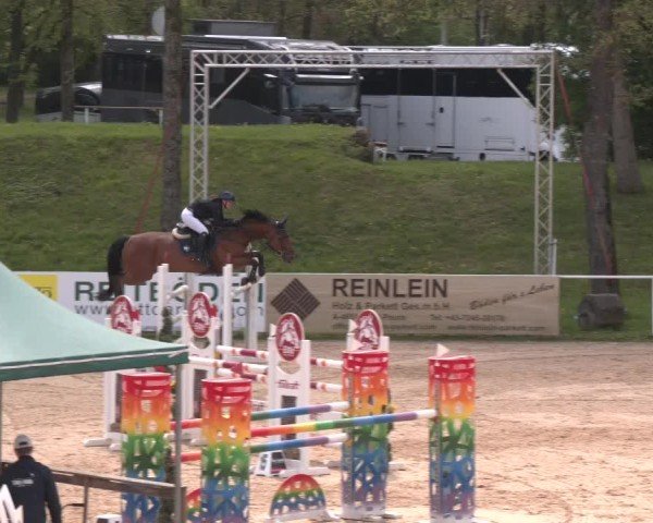 Internationales Springturnier Stadl-Paura 2025