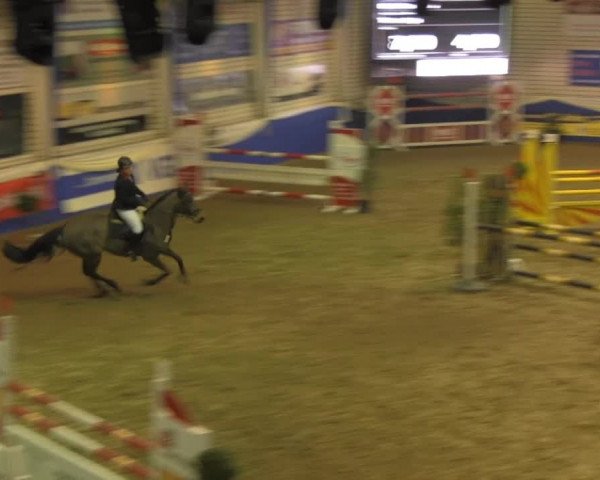 Spring-Pferde-Festival Lathen 2014