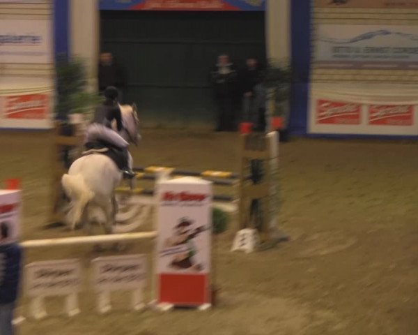 Spring-Pferde-Festival Lathen 2014