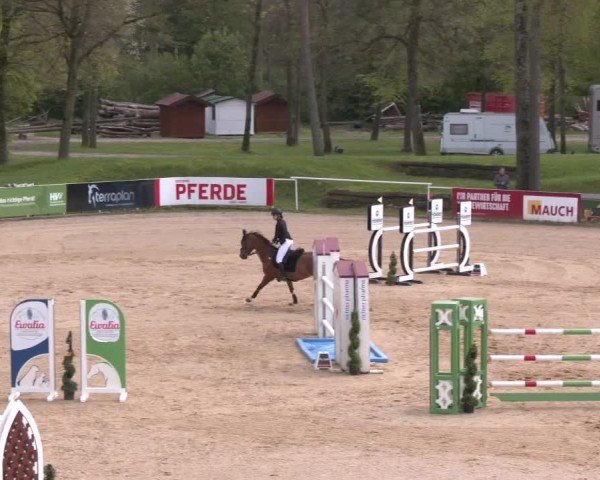Internationales Springturnier Stadl-Paura 2025