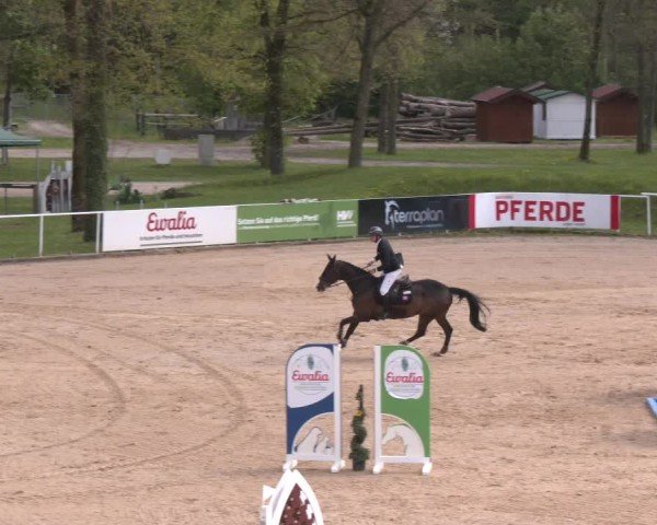 Internationales Springturnier Stadl-Paura 2025