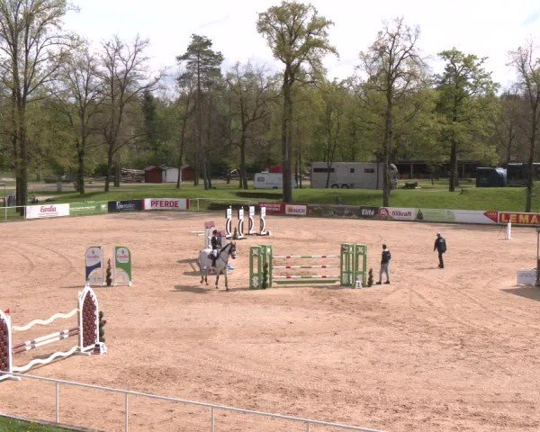 Internationales Springturnier Stadl-Paura 2025