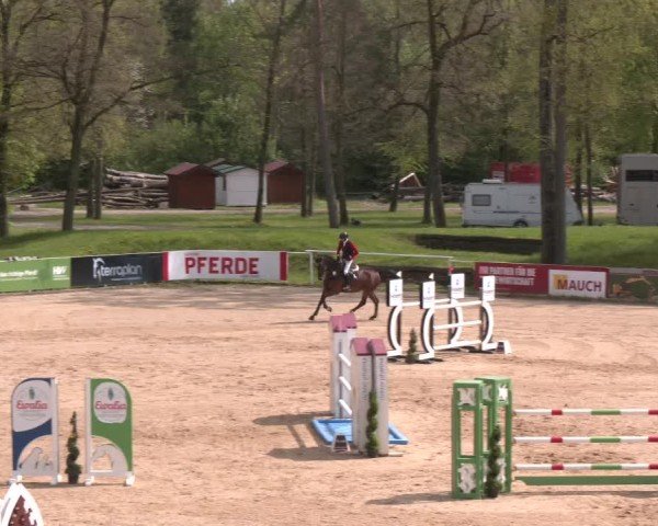 Internationales Springturnier Stadl-Paura 2025