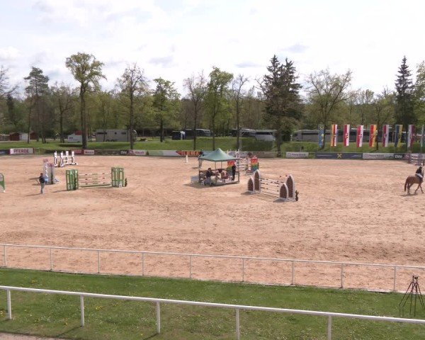 Internationales Springturnier Stadl-Paura 2025