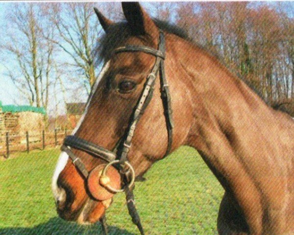 jumper Piorette (Rhinelander, 1998, from Pessoa)