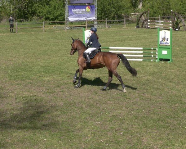 Reitturnier Luckau 2025