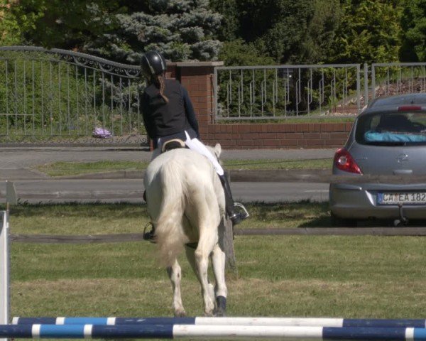 Reitturnier Luckau 2025