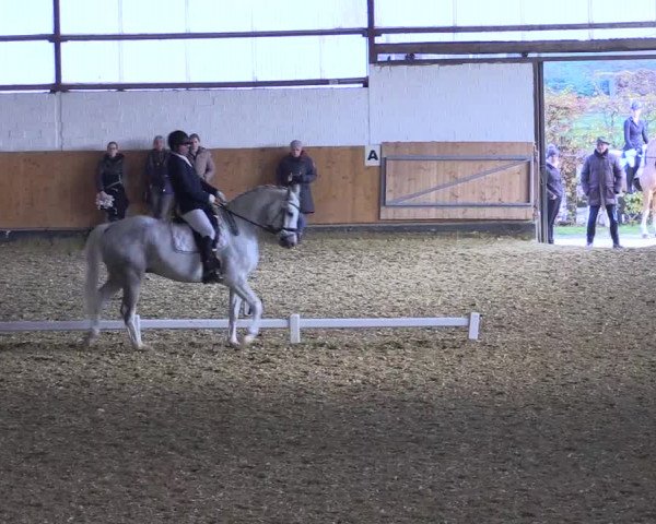 Reitturnier Datteln 2021