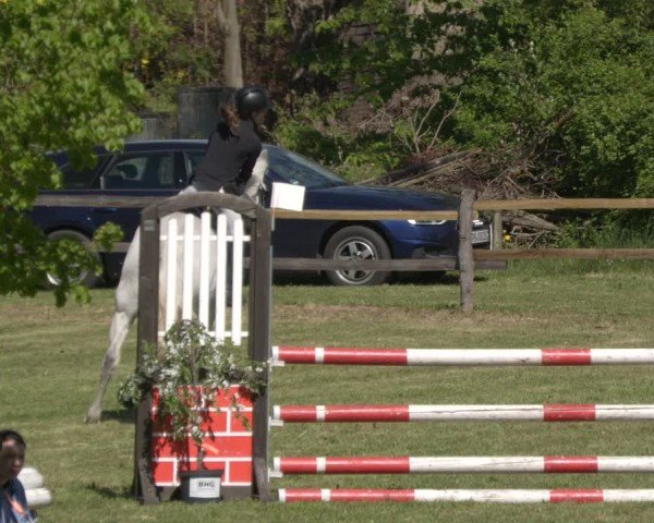 Reitturnier Luckau 2025