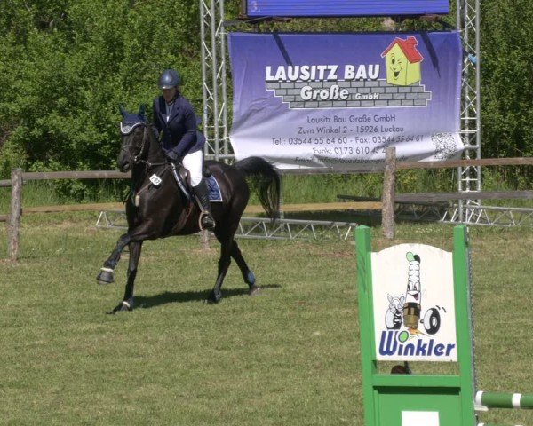 Reitturnier Luckau 2025