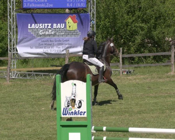 Reitturnier Luckau 2025
