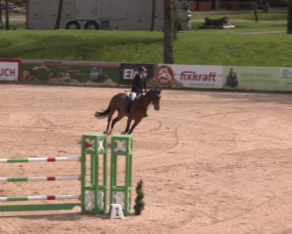 Internationales Springturnier Stadl-Paura 2025