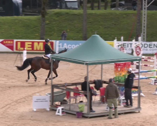 Internationales Springturnier Stadl-Paura 2025
