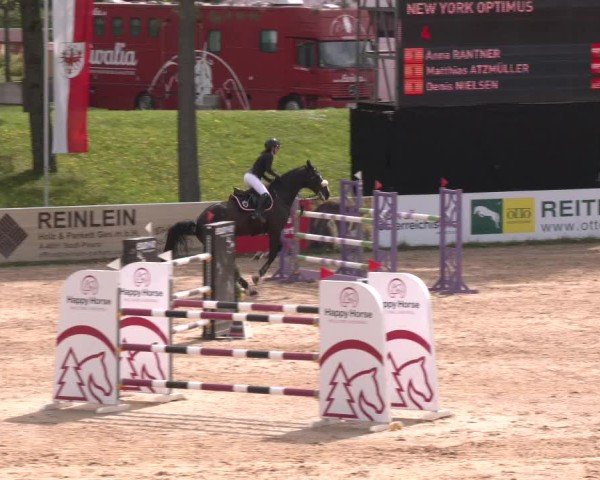 Internationales Springturnier Stadl-Paura 2025
