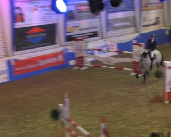 Spring-Pferde-Festival Lathen 2014