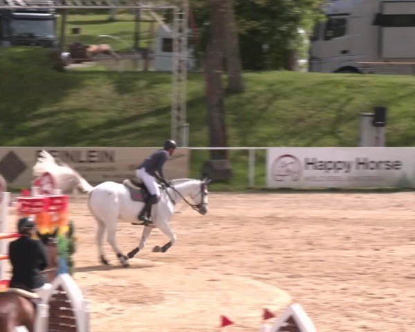 Internationales Springturnier Stadl-Paura 2025