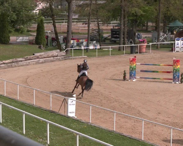 Internationales Springturnier Stadl-Paura 2025