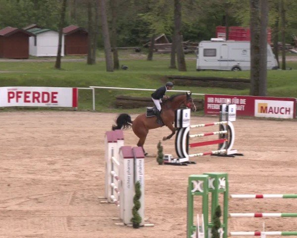Internationales Springturnier Stadl-Paura 2025