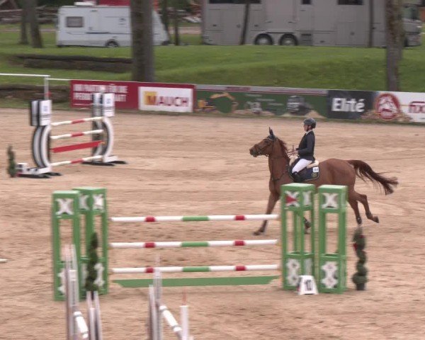 Internationales Springturnier Stadl-Paura 2025