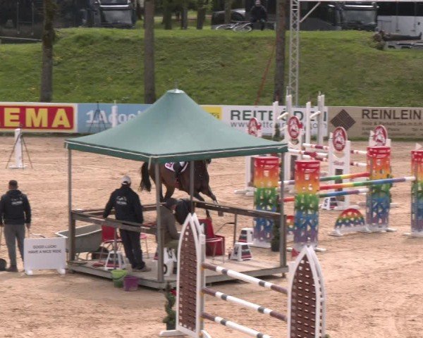 Internationales Springturnier Stadl-Paura 2025