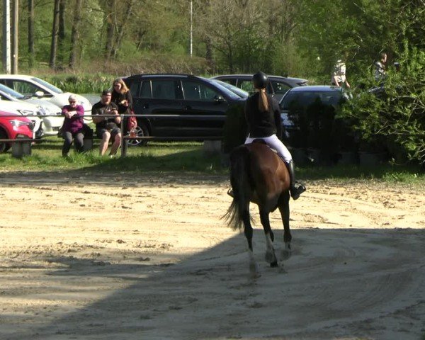Reitturnier Bad Liebenstein 2025