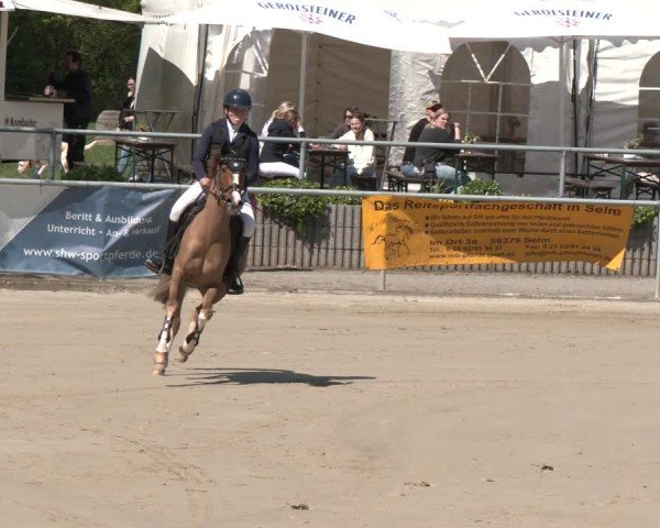 Reitturnier Olfen 2025