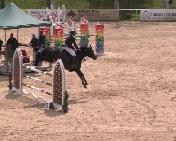 Internationales Springturnier Stadl-Paura 2025