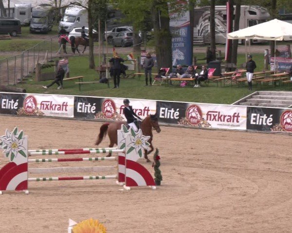Internationales Springturnier Stadl-Paura 2025