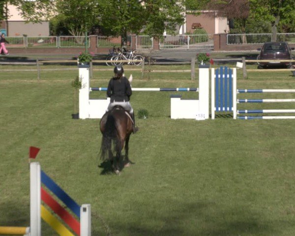 Reitturnier Luckau 2025