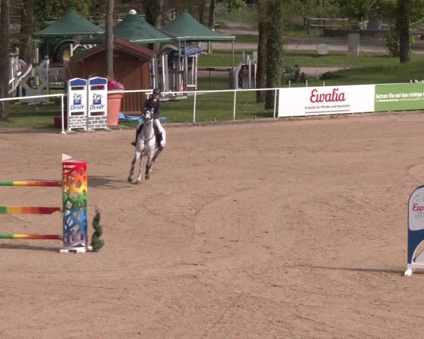Internationales Springturnier Stadl-Paura 2025