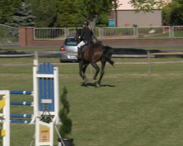 Reitturnier Luckau 2025