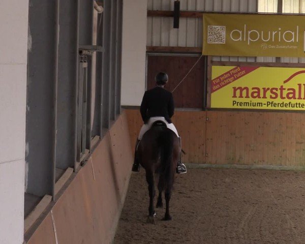 Reitturnier Schlieckau 2025