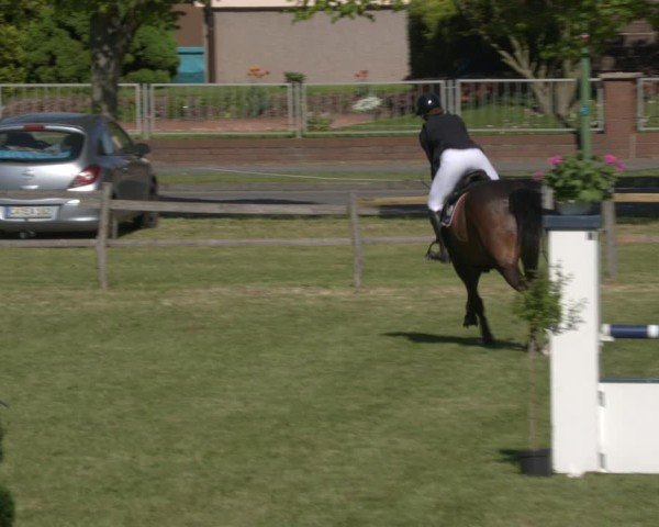 Reitturnier Luckau 2025