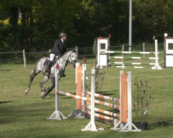 Reitturnier Luckau 2025
