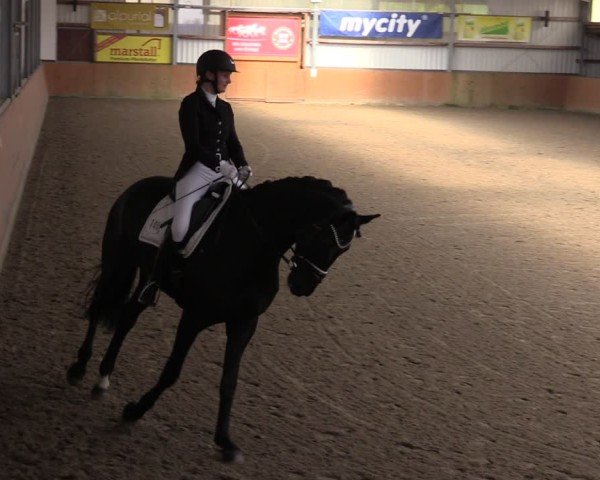 Reitturnier Schlieckau 2025