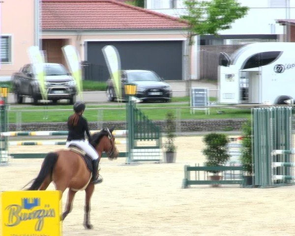 Reitturnier Ingolstadt-Hagau/Obb. 2025