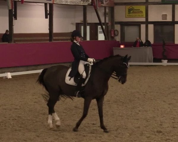 Reitturnier Vlotho-Exter 2021