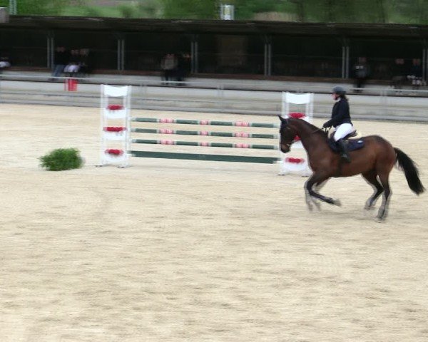 Reitturnier Ingolstadt-Hagau/Obb. 2025