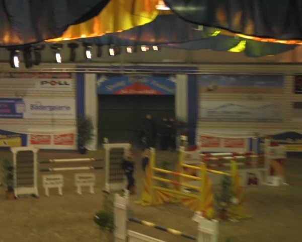 Spring-Pferde-Festival Lathen 2014