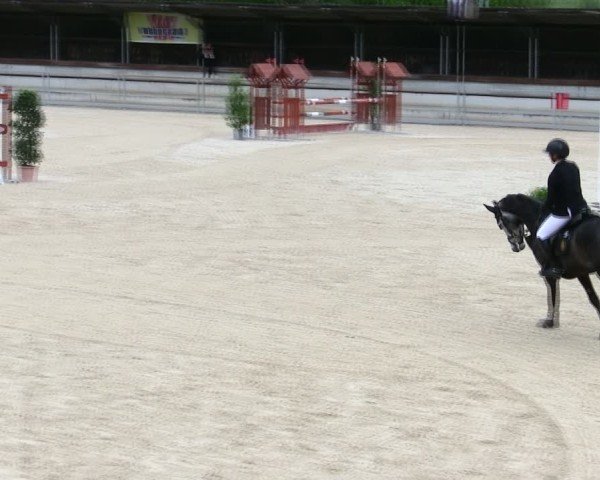 Reitturnier Ingolstadt-Hagau/Obb. 2025