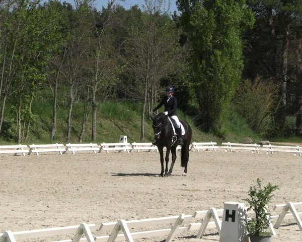 Reitturnier Pietzpuhl 2025
