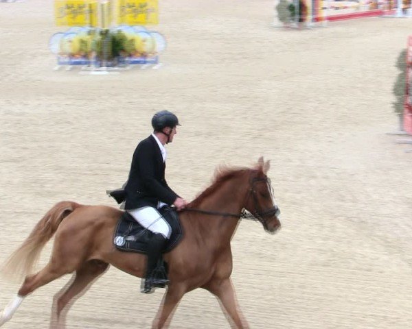 Reitturnier Ingolstadt-Hagau/Obb. 2025