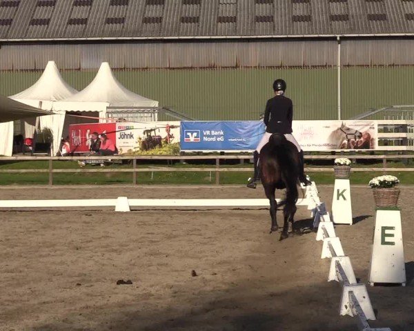 Reitturnier Kleinsolter Turniertage 2025