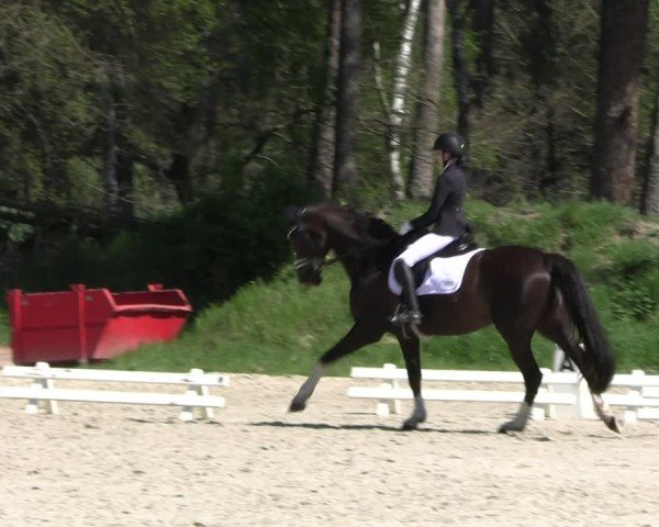 Reitturnier Pietzpuhl 2025