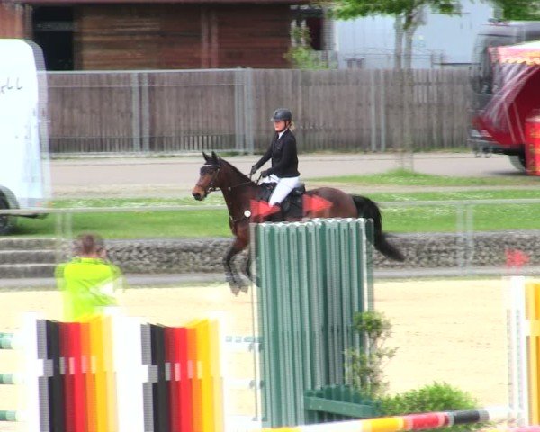 Reitturnier Ingolstadt-Hagau/Obb. 2025