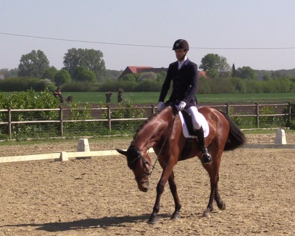 Reitturnier Warendorf, Reitstall am Rothenbach 2025