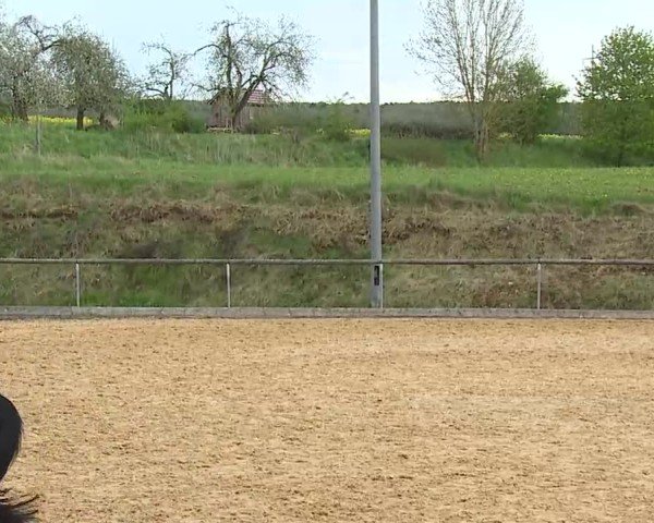 Reitturnier Altentrüdingen 2025