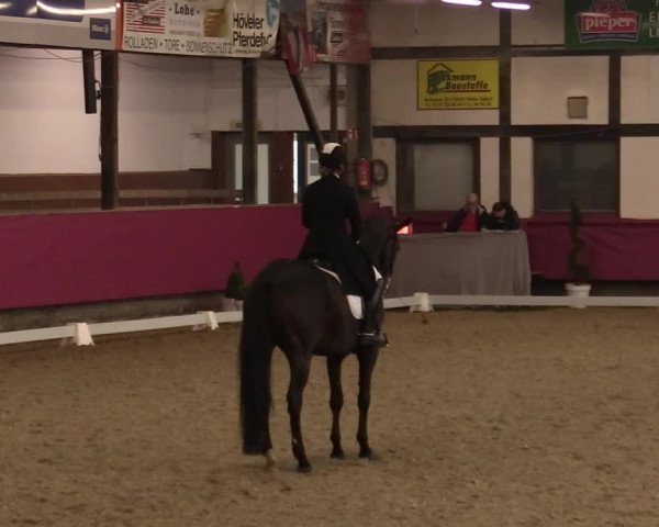 Reitturnier Vlotho-Exter 2021